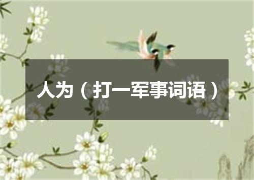 人为（打一军事词语）