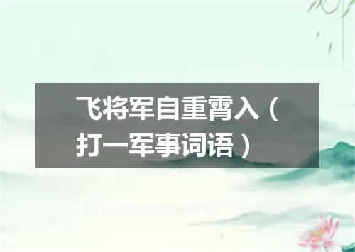 飞将军自重霄入（打一军事词语）