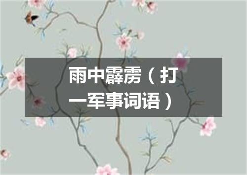 雨中霹雳（打一军事词语）