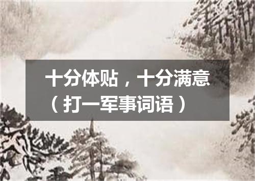 十分体贴，十分满意（打一军事词语）