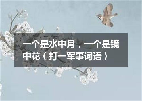 一个是水中月，一个是镜中花（打一军事词语）