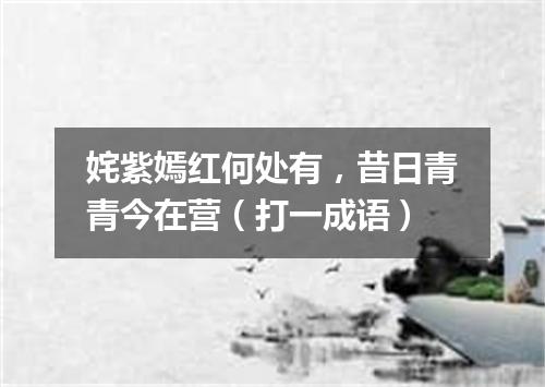 姹紫嫣红何处有，昔日青青今在营（打一成语）