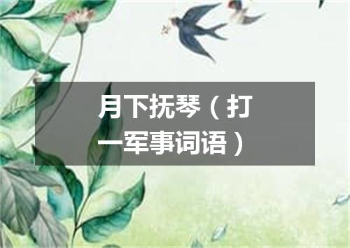 月下抚琴（打一军事词语）