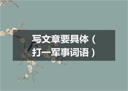 写文章要具体（打一军事词语）