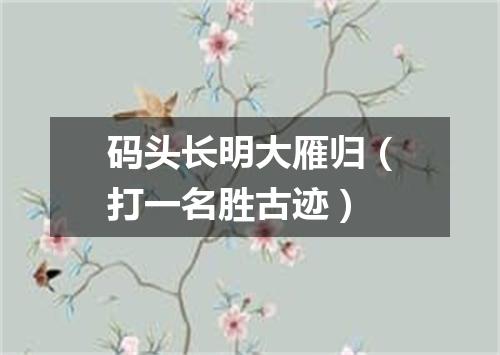 码头长明大雁归（打一名胜古迹）