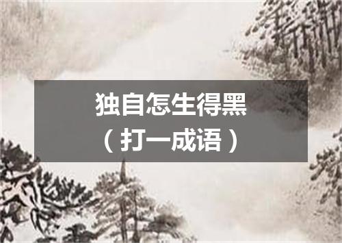 独自怎生得黑（打一成语）