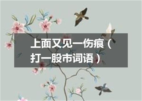 上面又见一伤痕（打一股市词语）