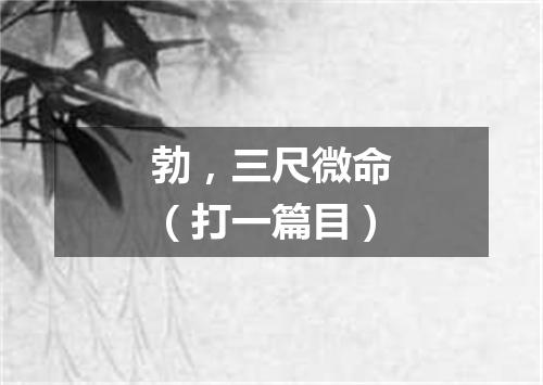 勃，三尺微命（打一篇目）