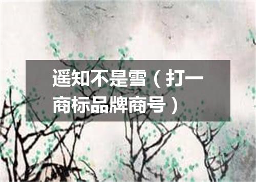 遥知不是雪（打一商标品牌商号）