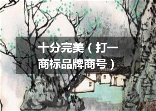 十分完美（打一商标品牌商号）