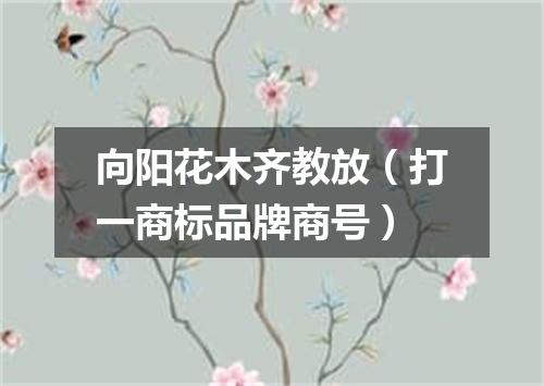 向阳花木齐教放（打一商标品牌商号）
