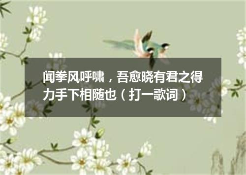 闻拳风呼啸，吾愈晓有君之得力手下相随也（打一歌词）