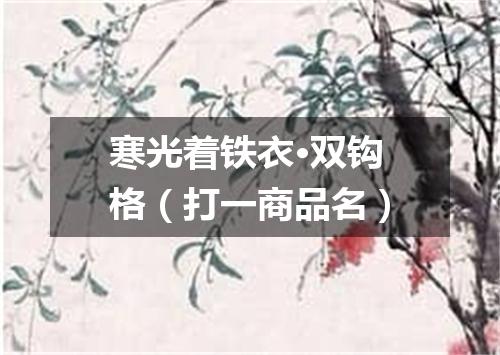寒光着铁衣·双钩格（打一商品名）