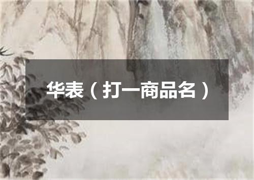 华表（打一商品名）