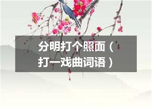 分明打个照面（打一戏曲词语）