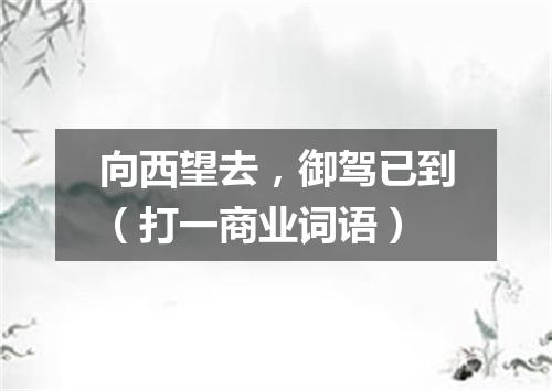 向西望去，御驾已到（打一商业词语）