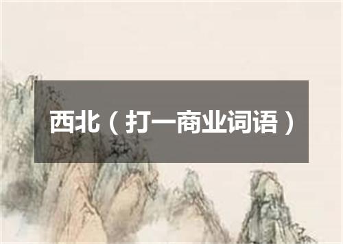 西北（打一商业词语）