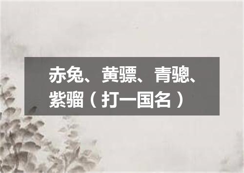 赤兔、黄骠、青骢、紫骝（打一国名）