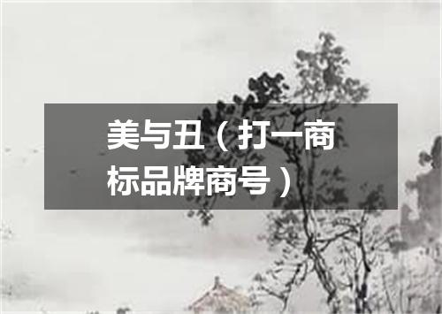 美与丑（打一商标品牌商号）