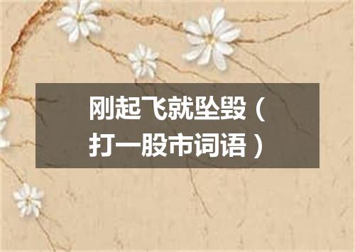 刚起飞就坠毁（打一股市词语）