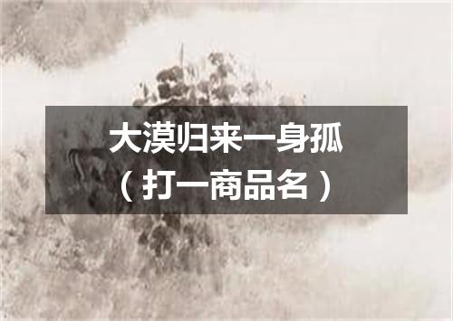 大漠归来一身孤（打一商品名）