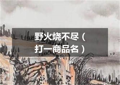 野火烧不尽（打一商品名）