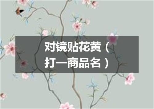 对镜贴花黄（打一商品名）