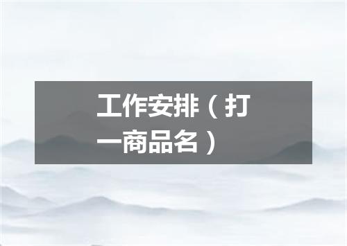 工作安排（打一商品名）