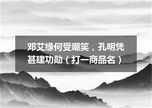邓艾缘何受嘲笑，孔明凭甚建功勋（打一商品名）