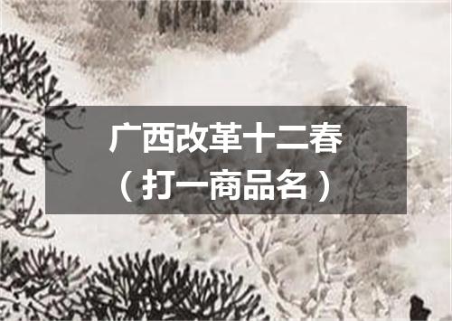 广西改革十二春（打一商品名）
