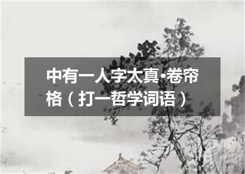 中有一人字太真·卷帘格（打一哲学词语）