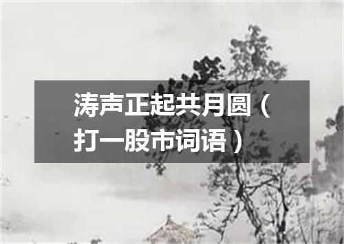 涛声正起共月圆（打一股市词语）