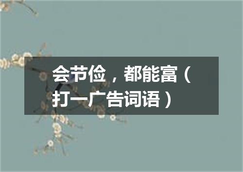 会节俭，都能富（打一广告词语）