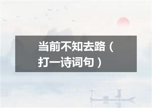 当前不知去路（打一诗词句）
