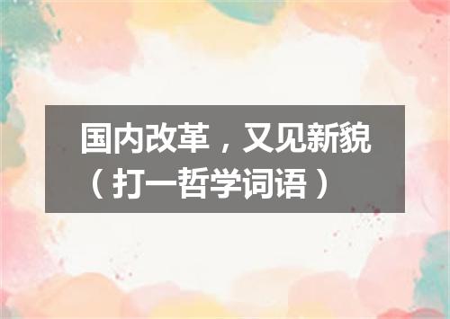 国内改革，又见新貌（打一哲学词语）
