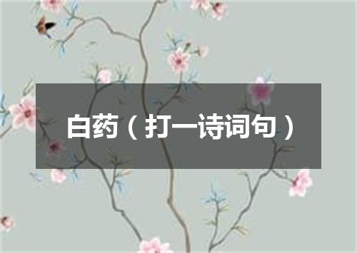 白药（打一诗词句）
