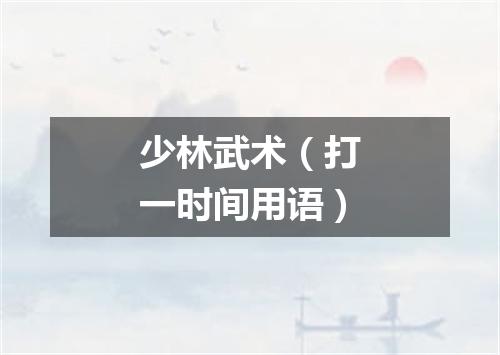 少林武术（打一时间用语）