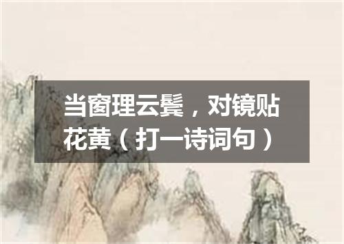 当窗理云鬓，对镜贴花黄（打一诗词句）