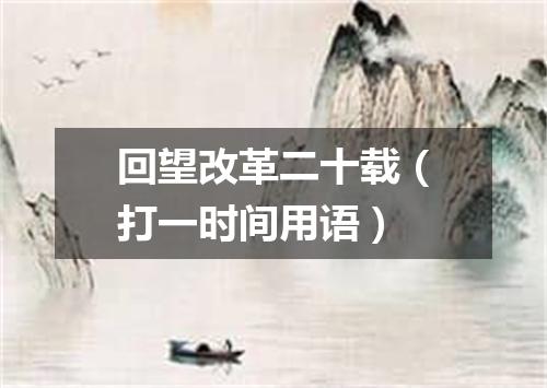 回望改革二十载（打一时间用语）