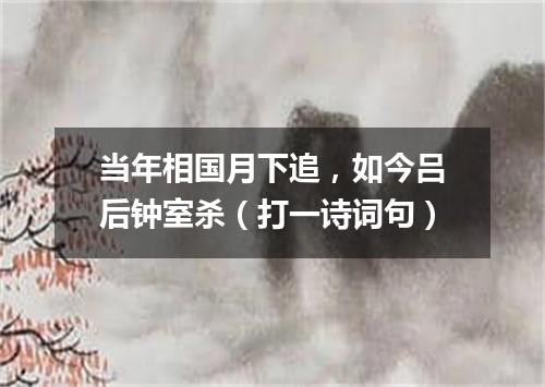 当年相国月下追，如今吕后钟室杀（打一诗词句）