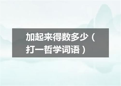 加起来得数多少（打一哲学词语）