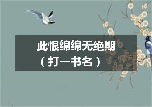 此恨绵绵无绝期（打一书名）