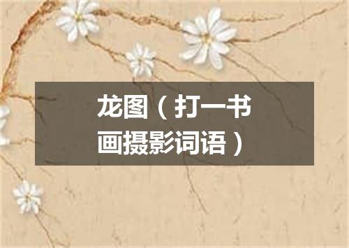 龙图（打一书画摄影词语）