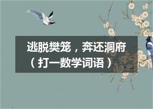 逃脱樊笼，奔还洞府（打一数学词语）