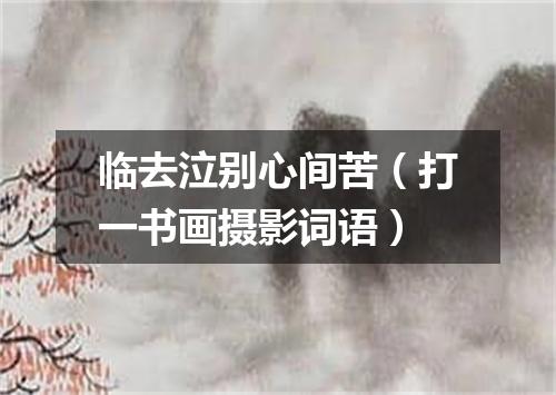 临去泣别心间苦（打一书画摄影词语）