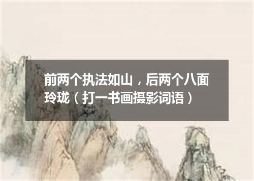 前两个执法如山，后两个八面玲珑（打一书画摄影词语）