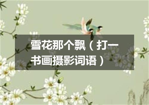 雪花那个飘（打一书画摄影词语）