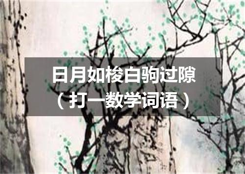 日月如梭白驹过隙（打一数学词语）