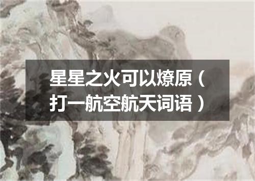 星星之火可以燎原（打一航空航天词语）