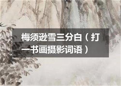 梅须逊雪三分白（打一书画摄影词语）